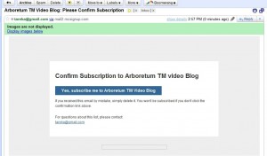 Email Example