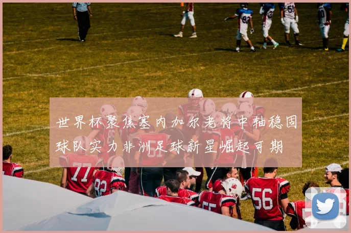 世界杯聚焦塞内加尔老将中轴稳固球队实力非洲足球新星崛起可期