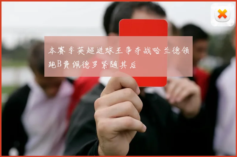 本赛季英超进球王争夺战哈兰德领跑B费佩德罗紧随其后